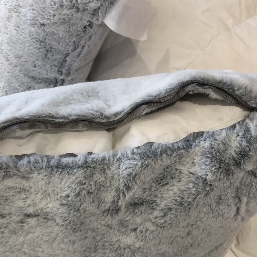 Pair of pillows. Bed, Bath & Beyond throw pillows. Powder blue. Pillow and cover - Picture 6 of 8